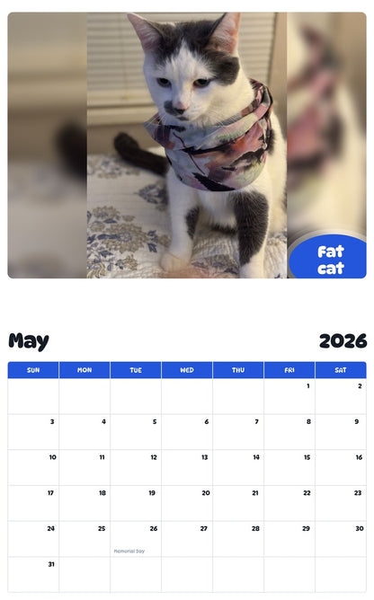 2026 - 2027 Fat cat - Pawidols Pet Calendar