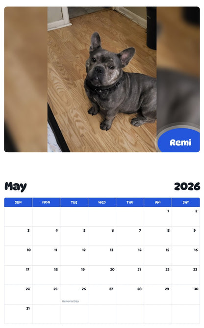 2026 - 2027 Remi - Pawidols Pet Calendar