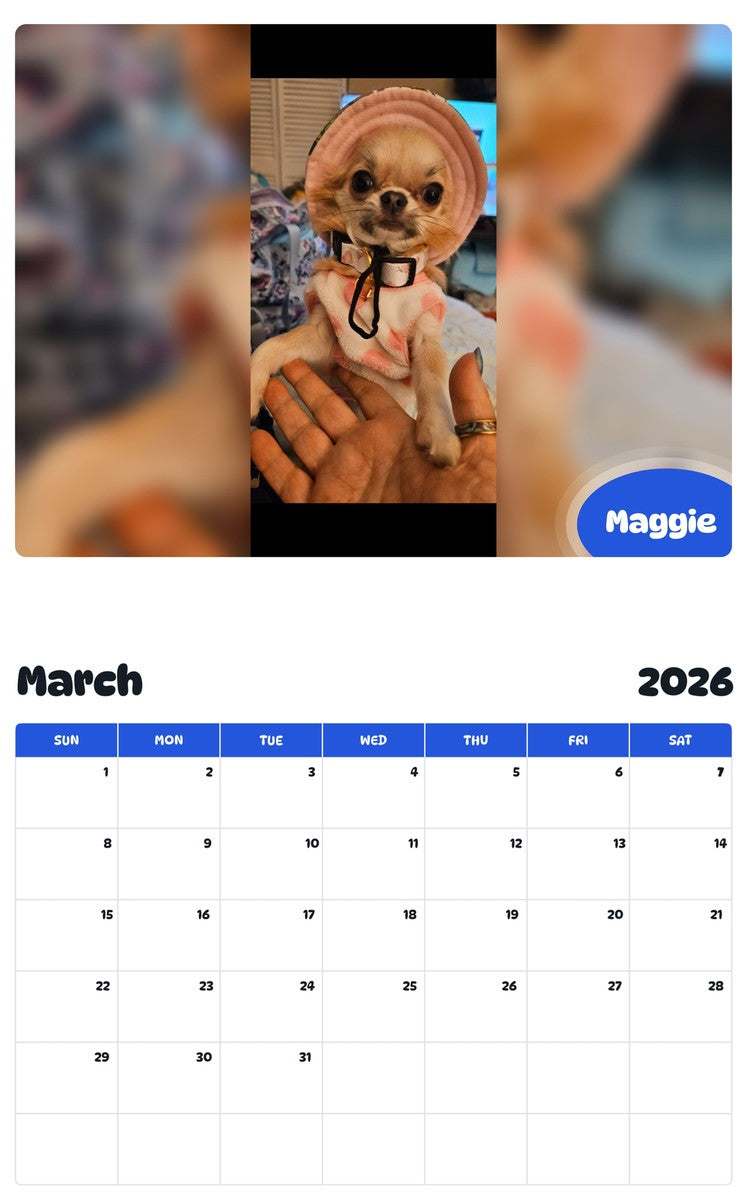 November 2025 - October 2026 Maggie - Pawidols Pet Calendar