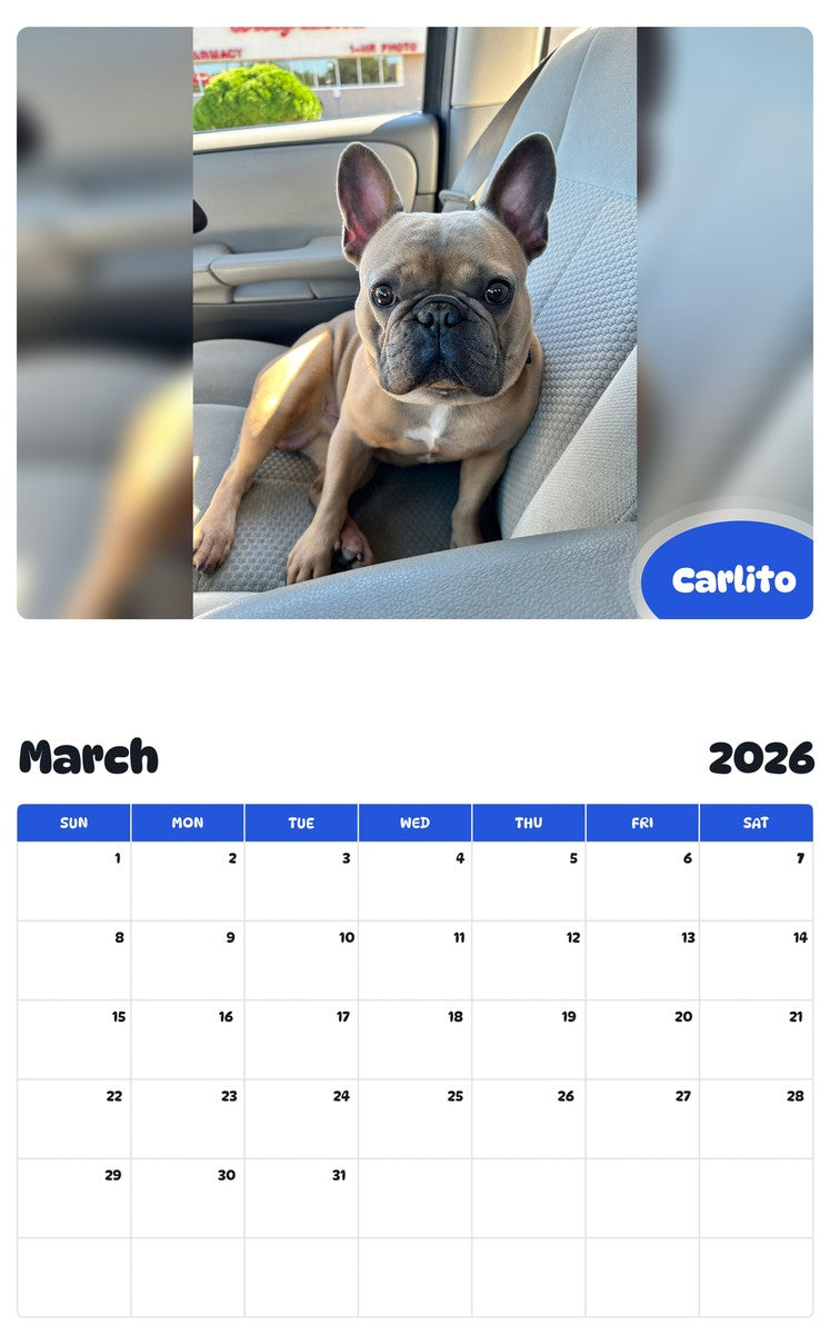 November 2025 - October 2026 Carlito - Pawidols Pet Calendar