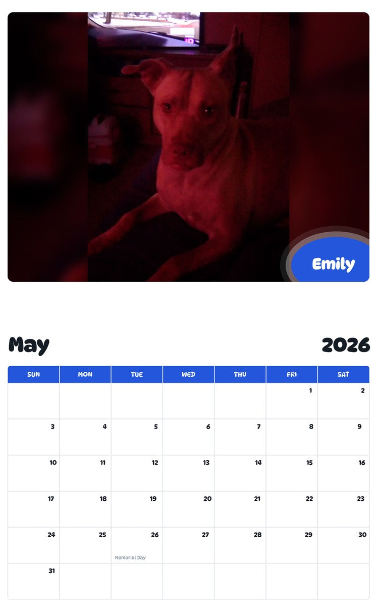 2026 - 2027 Emily - Pawidols Pet Calendar