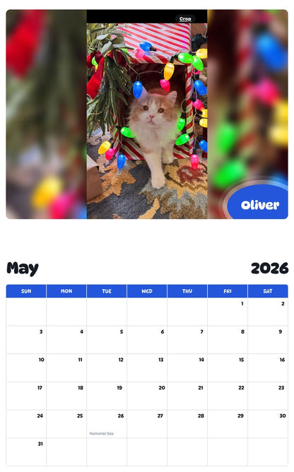 2026 - 2027 Oliver - Pawidols Pet Calendar