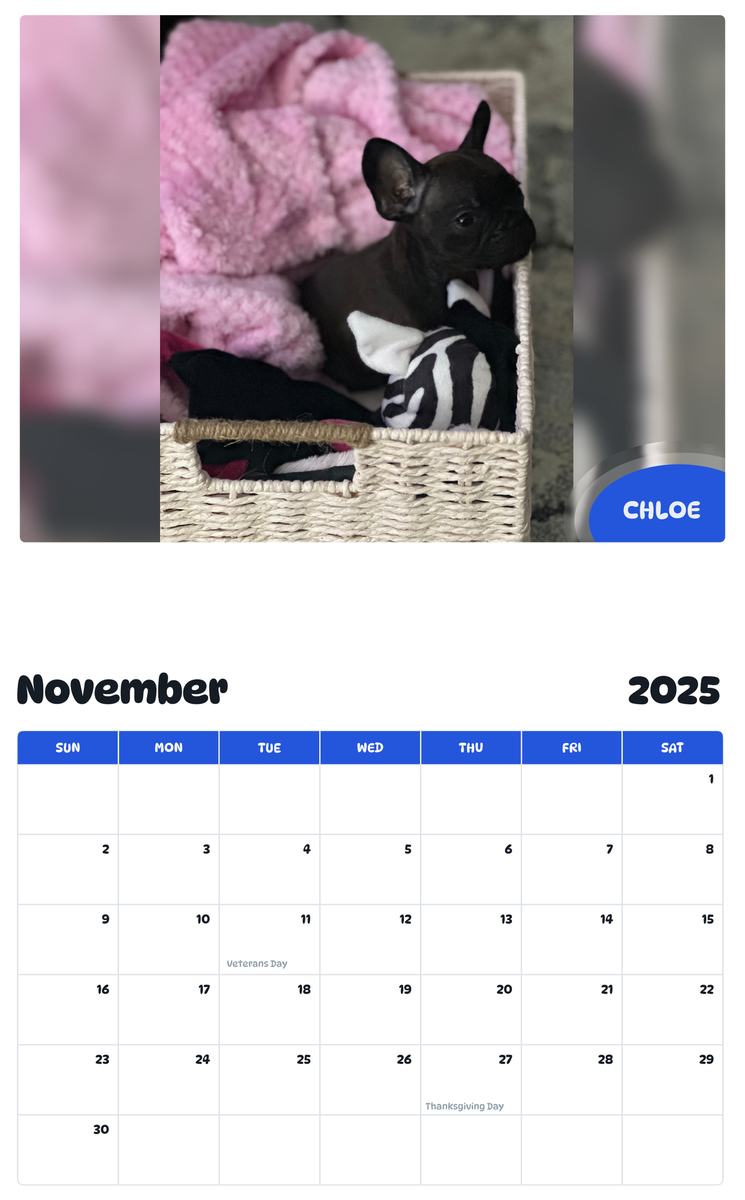 July 2025 - June 2026 Chloe - Pawidols Pet Calendar