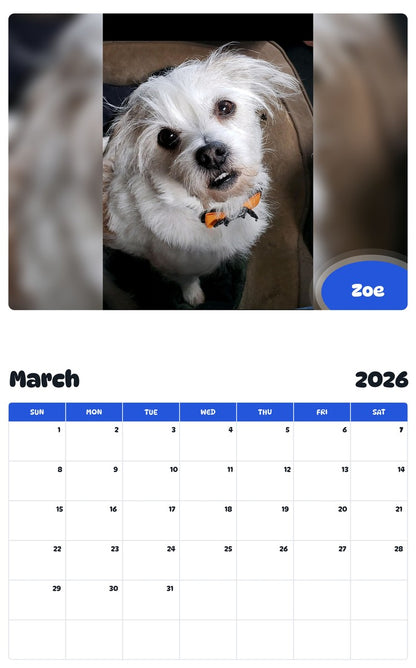 November 2025 - October 2026 Zoe - Pawidols Pet Calendar