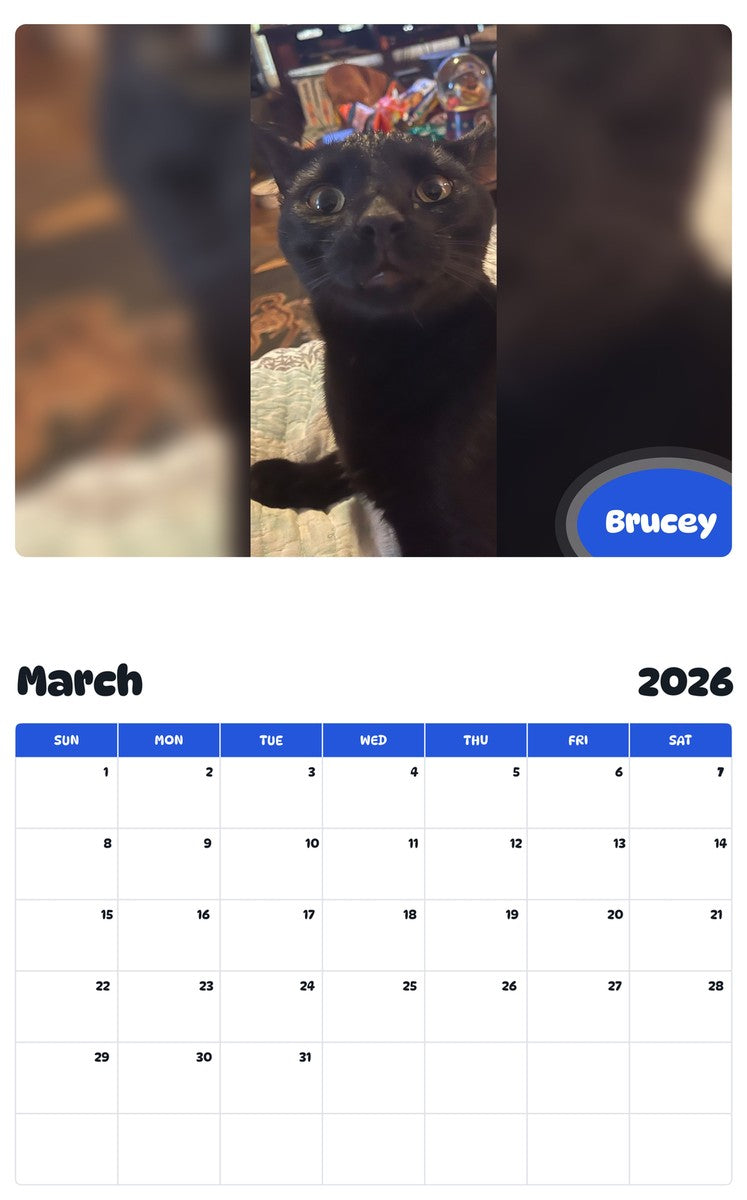 November 2025 - October 2026 Brucey - Pawidols Pet Calendar