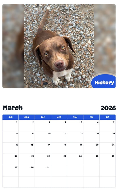 November 2025 - October 2026 Hickory - Pawidols Pet Calendar