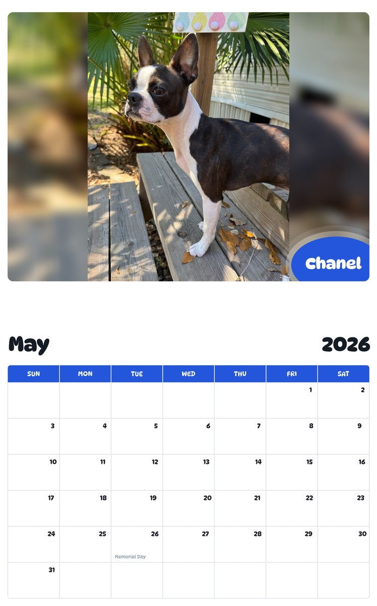 2026 - 2027 Chanel - Pawidols Pet Calendar