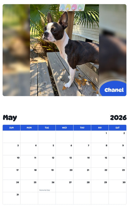 2026 - 2027 Chanel - Pawidols Pet Calendar