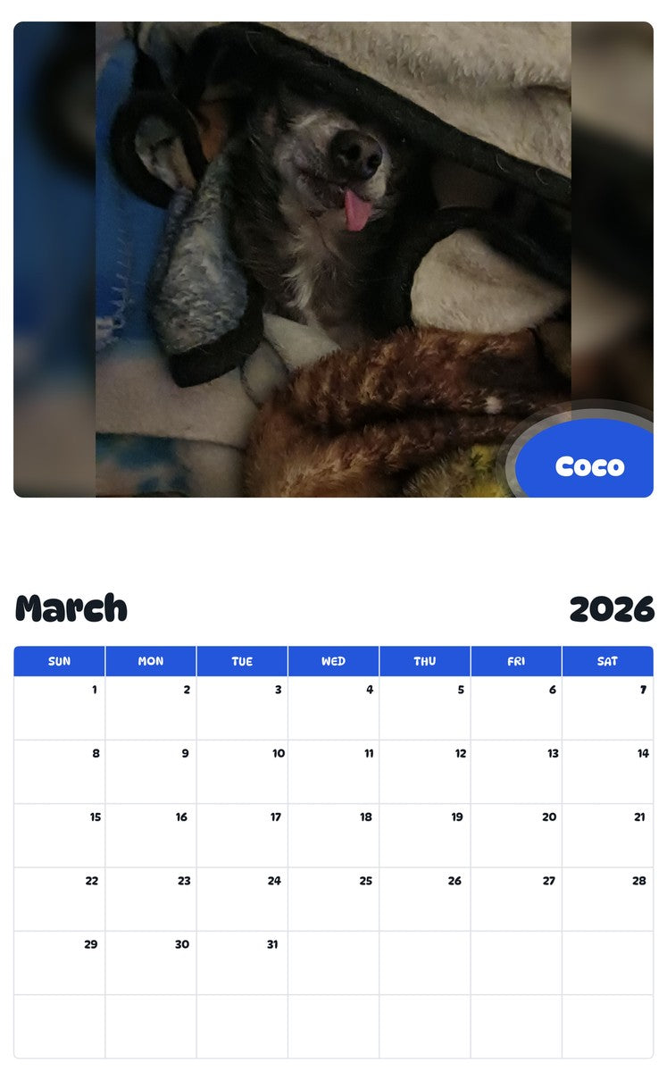 November 2025 - October 2026 Coco - Pawidols Pet Calendar