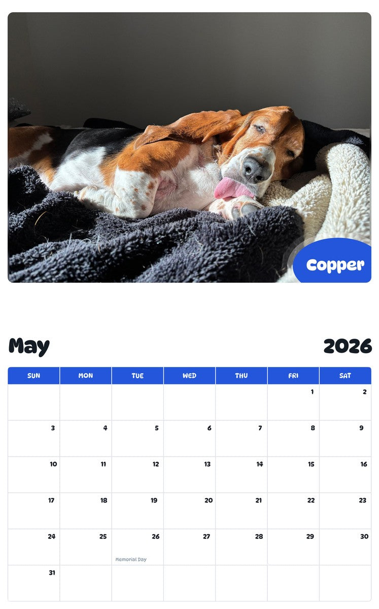 2026 - 2027 Copper - Pawidols Pet Calendar