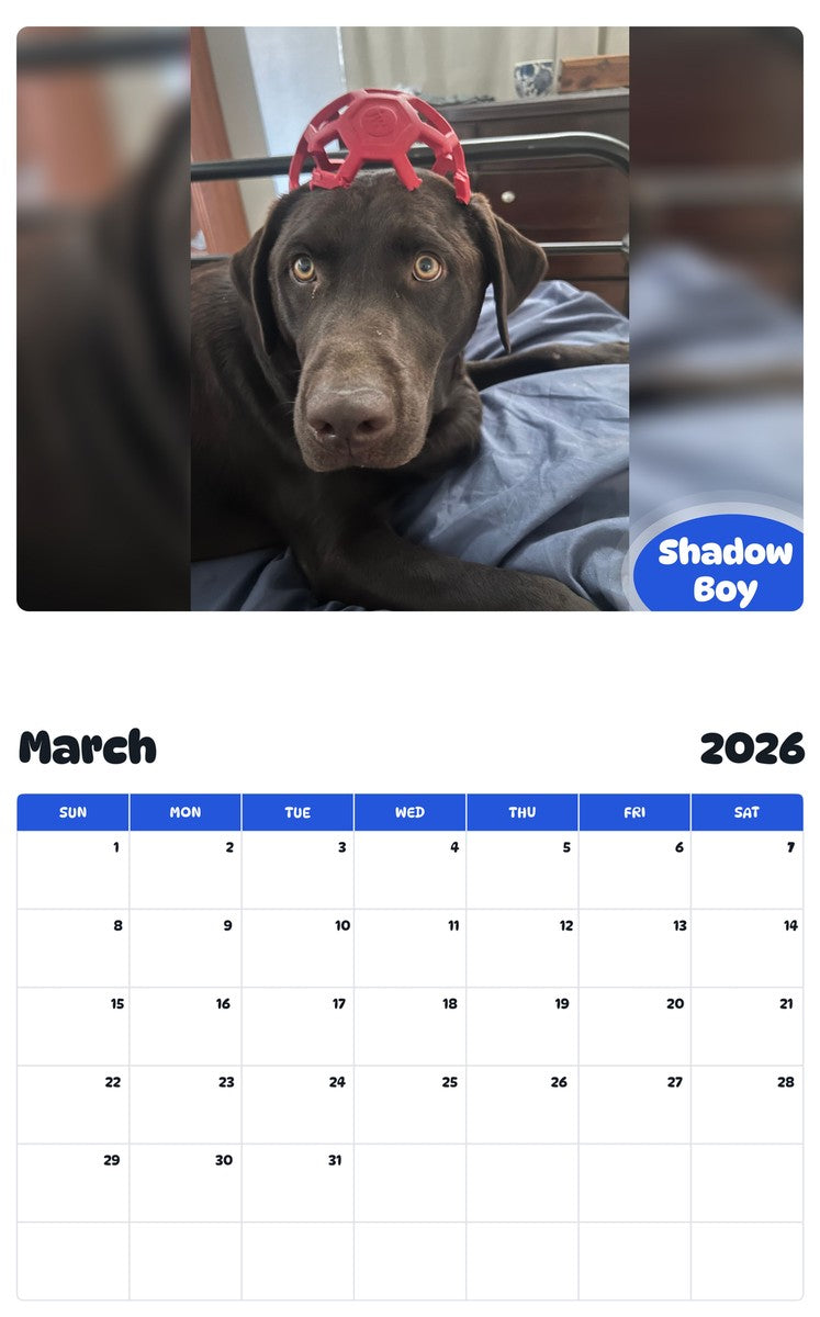 November 2025 - October 2026 Shadow Boy - Pawidols Pet Calendar