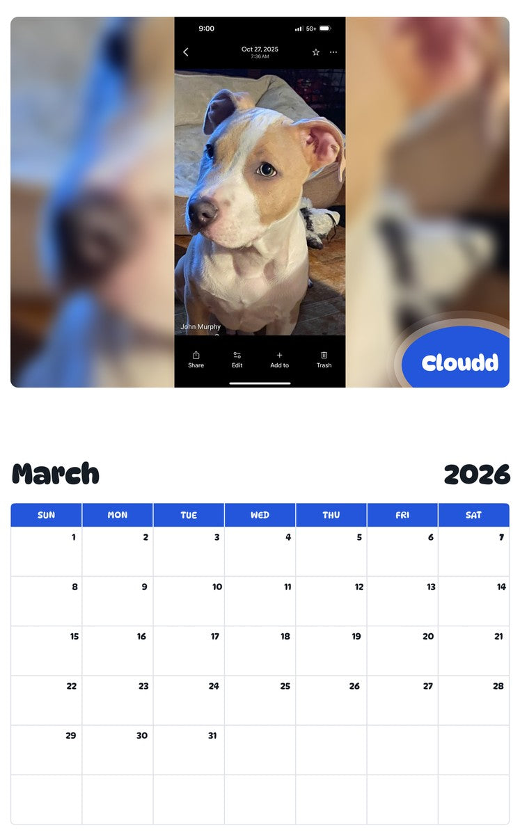 November 2025 - October 2026 Cloudd - Pawidols Pet Calendar