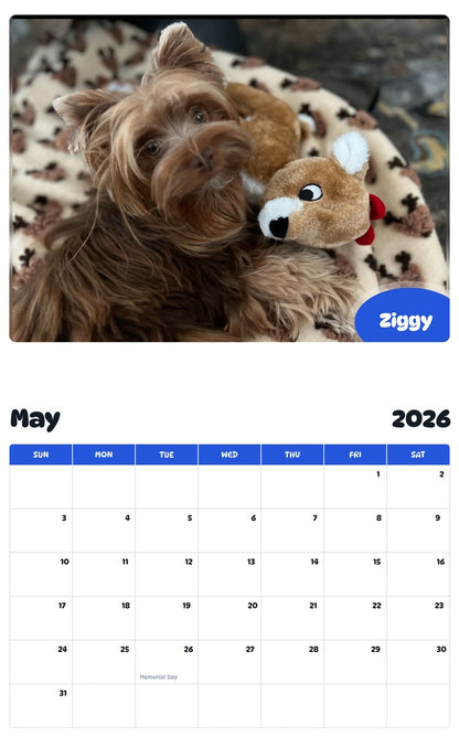2026 - 2027 Ziggy - Pawidols Pet Calendar
