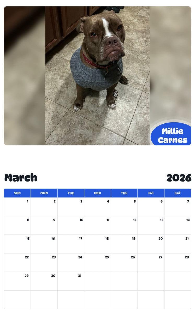 November 2025 - October 2026 Millie Carnes - Pawidols Pet Calendar
