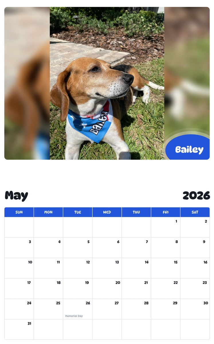 2026 - 2027 Bailey - Pawidols Pet Calendar