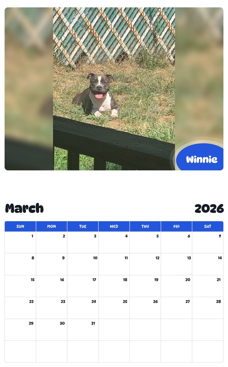 November 2025 - October 2026 Winnie - Pawidols Pet Calendar