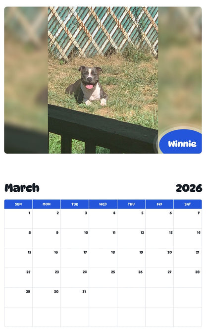 November 2025 - October 2026 Winnie - Pawidols Pet Calendar