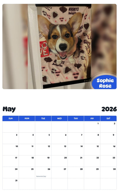 2026 - 2027 Sophie Rose - Pawidols Pet Calendar