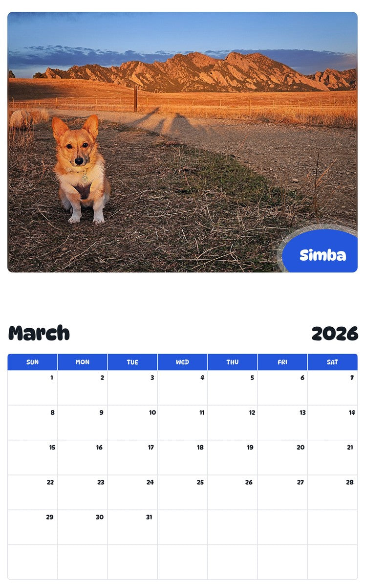 November 2025 - October 2026 Simba - Pawidols Pet Calendar