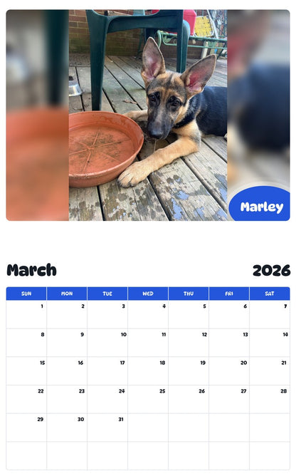 November 2025 - October 2026 Marley - Pawidols Pet Calendar