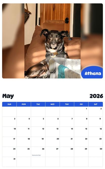 2026 - 2027 Athena - Pawidols Pet Calendar