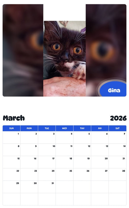 November 2025 - October 2026 Gina - Pawidols Pet Calendar