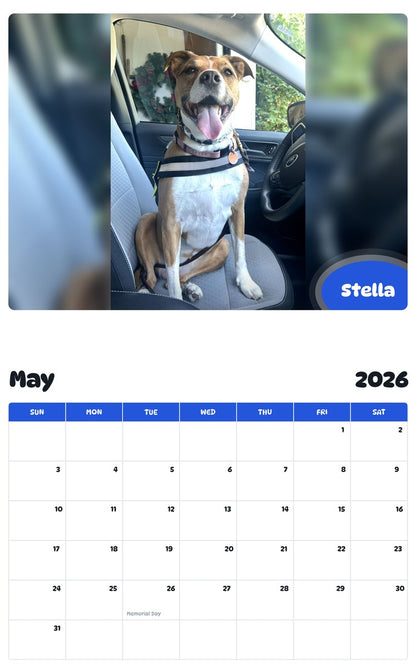 2026 - 2027 Stella - Pawidols Pet Calendar