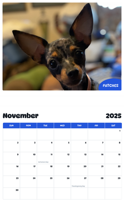 July 2025 - June 2026 Patches - Pawidols Pet Calendar