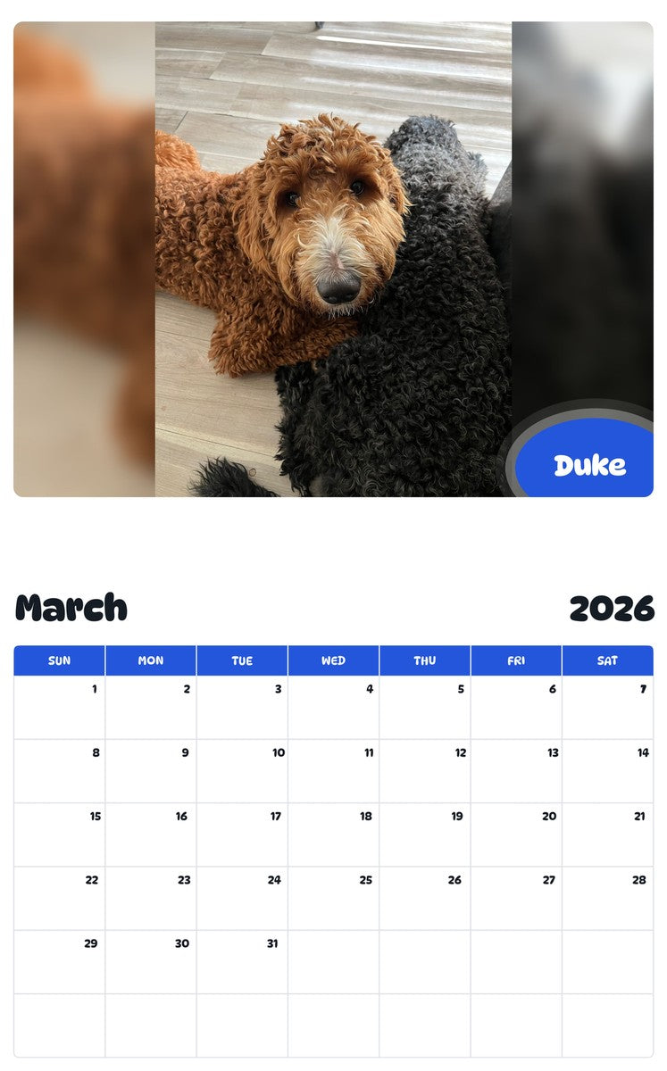 November 2025 - October 2026 Duke - Pawidols Pet Calendar