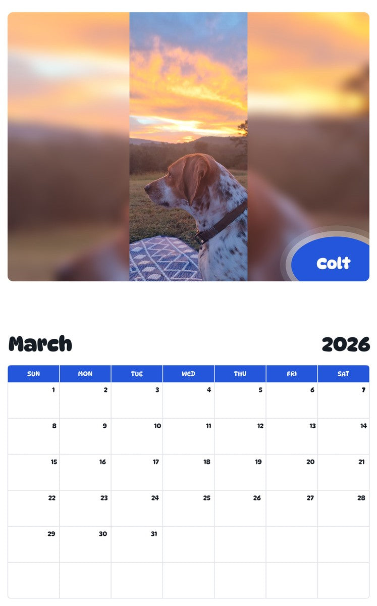 November 2025 - October 2026 Colt - Pawidols Pet Calendar
