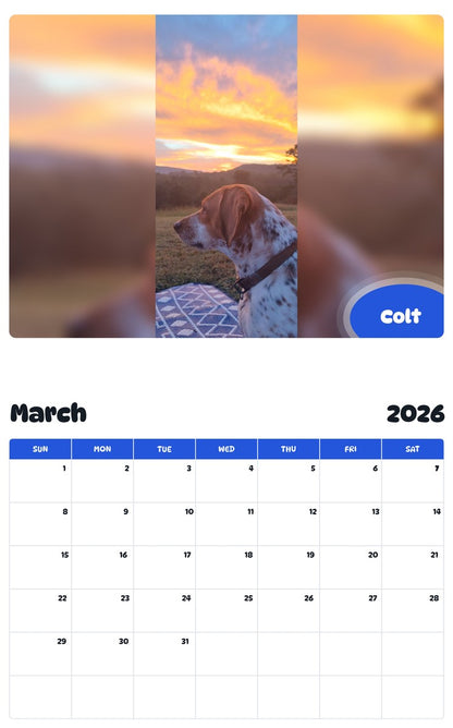 November 2025 - October 2026 Colt - Pawidols Pet Calendar