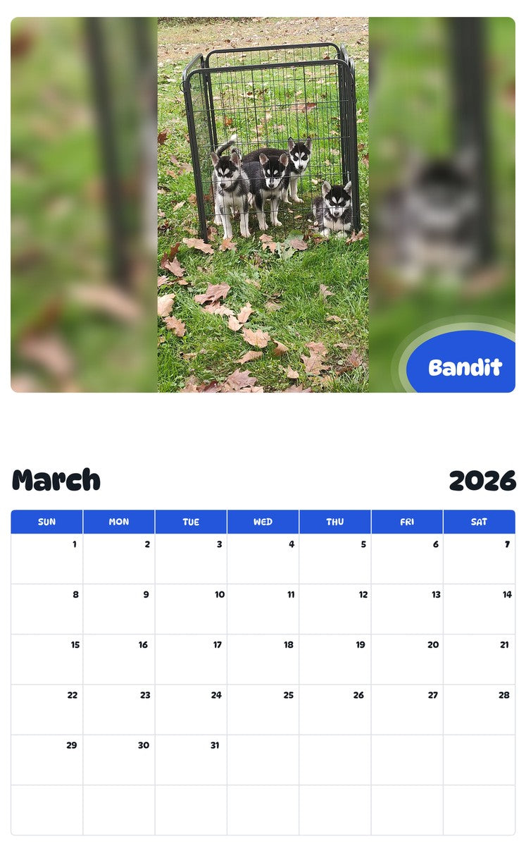 November 2025 - October 2026 Bandit - Pawidols Pet Calendar