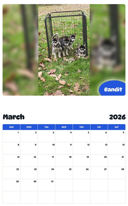November 2025 - October 2026 Bandit - Pawidols Pet Calendar