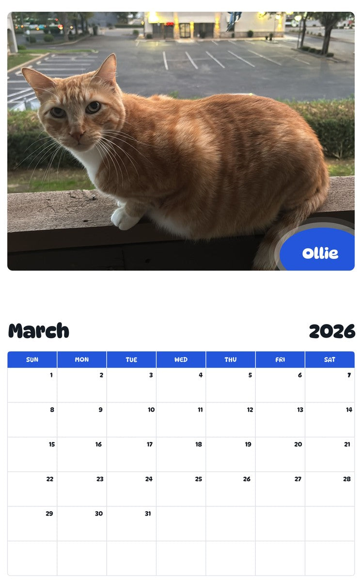 November 2025 - October 2026 Ollie - Pawidols Pet Calendar