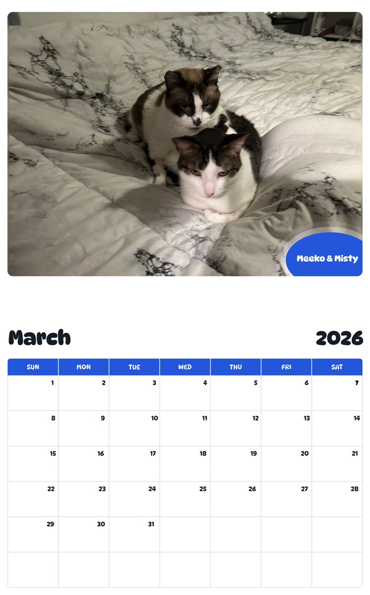 November 2025 - October 2026 Meeko & Misty - Pawidols Pet Calendar