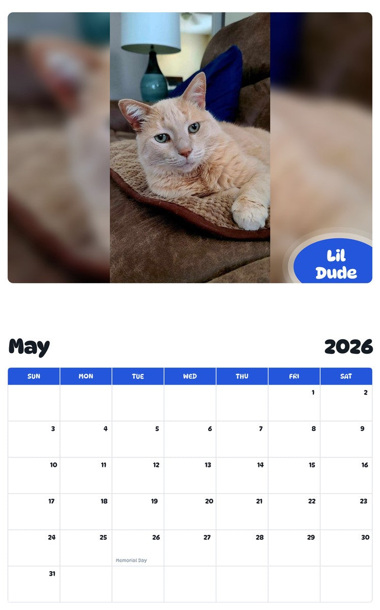2026 - 2027 Lil Dude - Pawidols Pet Calendar