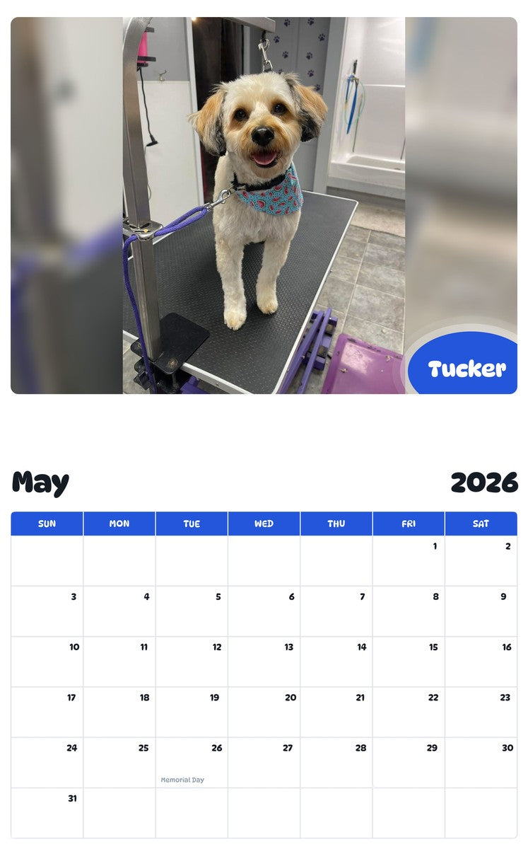 2026 - 2027 Tucker - Pawidols Pet Calendar
