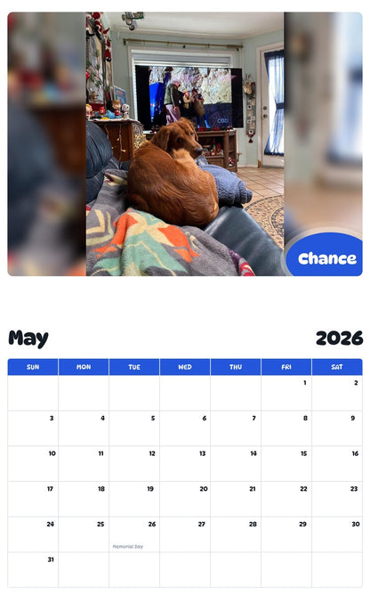2026 - 2027 Chance - Pawidols Pet Calendar