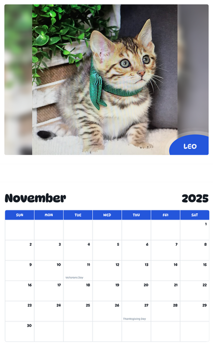 July 2025 - June 2026 Leo - Pawidols Pet Calendar