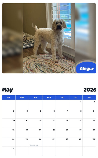 2026 - 2027 Ginger - Pawidols Pet Calendar