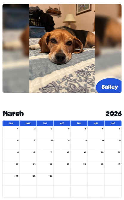 November 2025 - October 2026 Bailey - Pawidols Pet Calendar