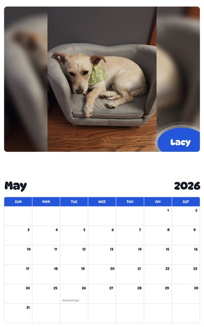 2026 - 2027 Lacy - Pawidols Pet Calendar