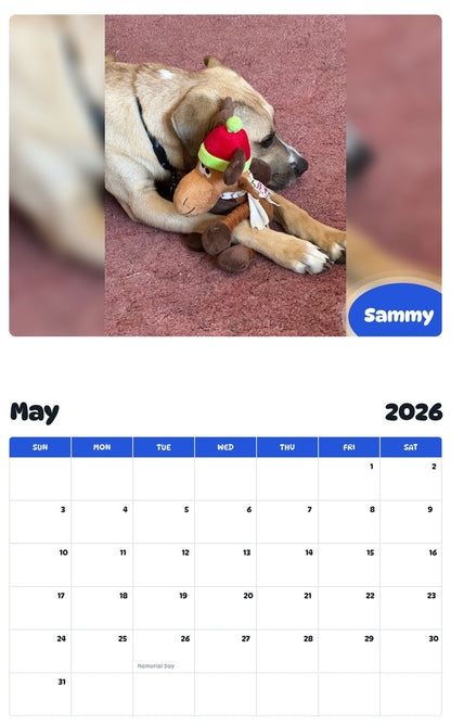 2026 - 2027 Sammy - Pawidols Pet Calendar