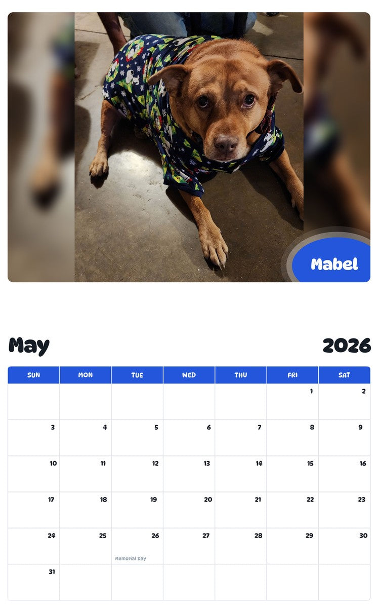 2026 - 2027 Mabel - Pawidols Pet Calendar