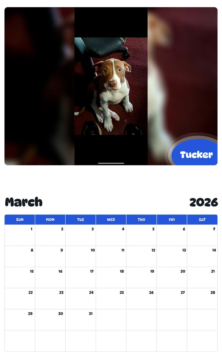 November 2025 - October 2026 Tucker - Pawidols Pet Calendar