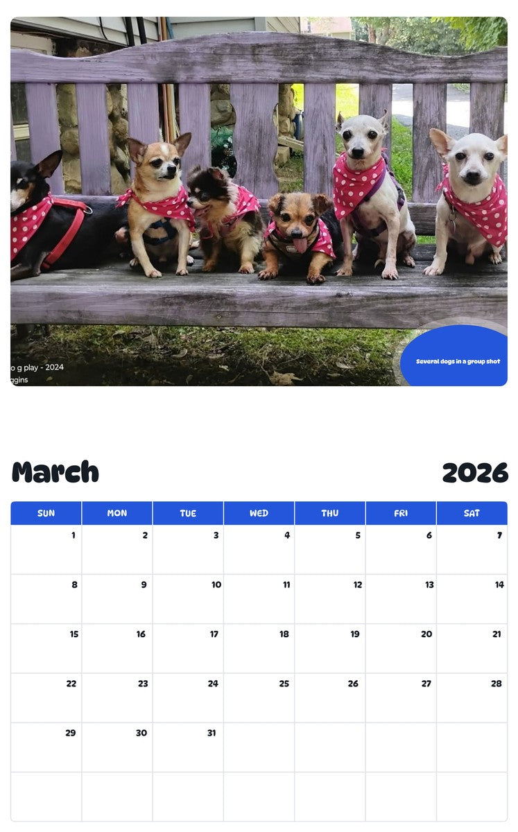 November 2025 - October 2026 Several dogs in a group shot - Pawidols Pet Calendar