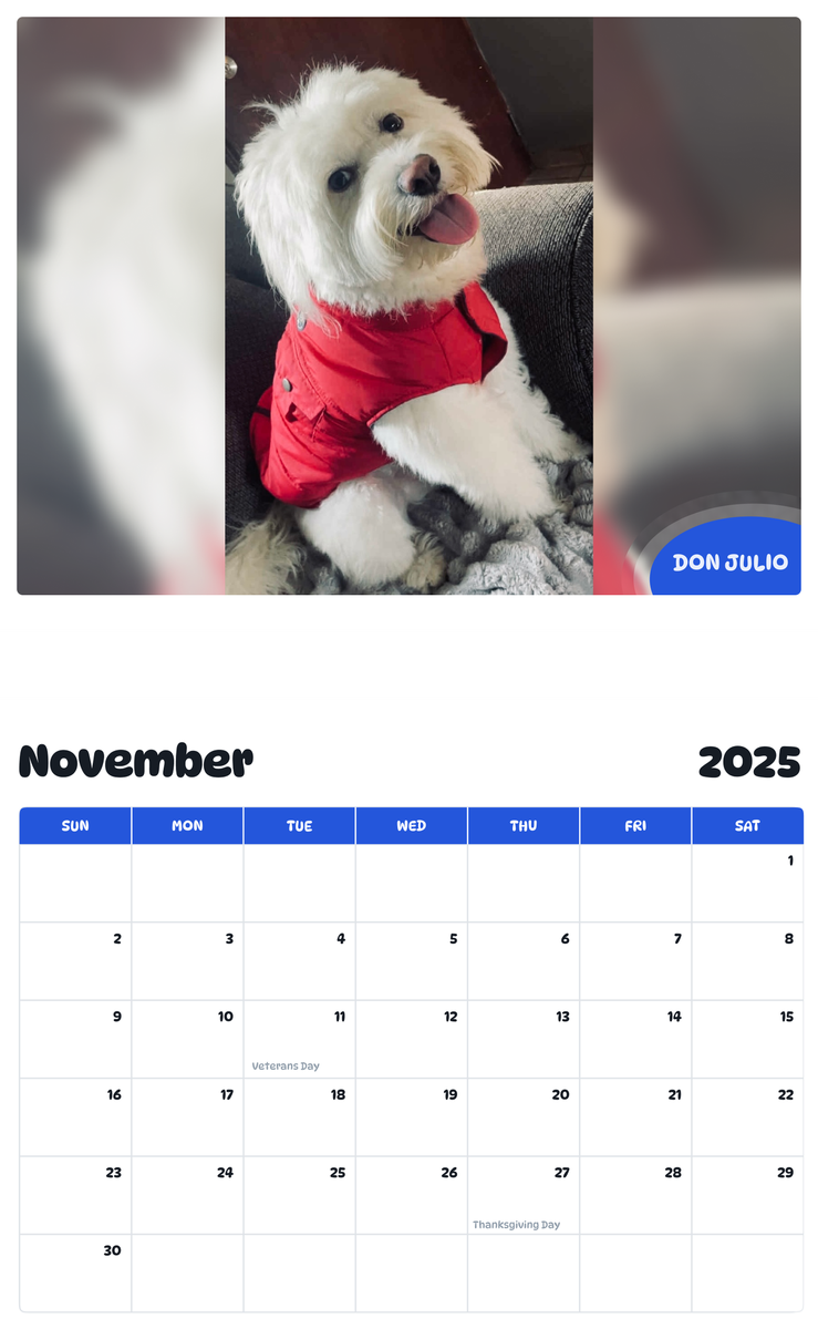 July 2025 - June 2026 Don Julio - Pawidols Pet Calendar