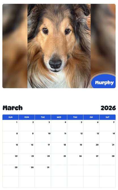 November 2025 - October 2026 Murphy - Pawidols Pet Calendar