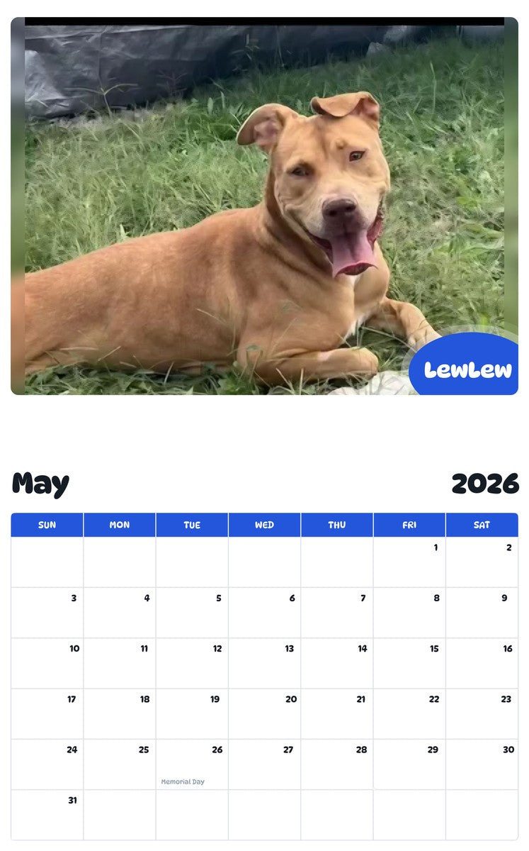 2026 - 2027 LewLew - Pawidols Pet Calendar