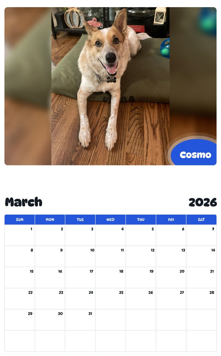 November 2025 - October 2026 Cosmo - Pawidols Pet Calendar
